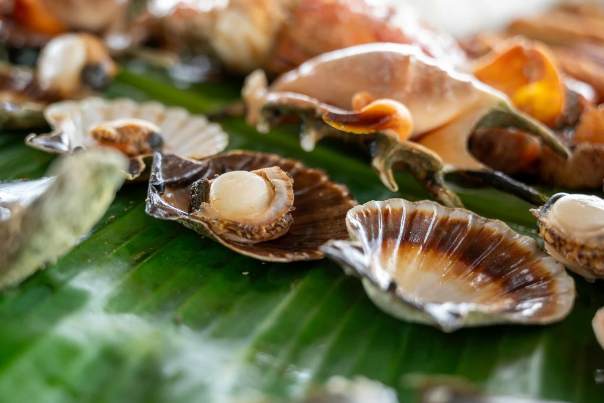 LET'S EAT Fresh seafood delicacy from Iloilo (Photo: Tourism Promotions Board of the Philippines)