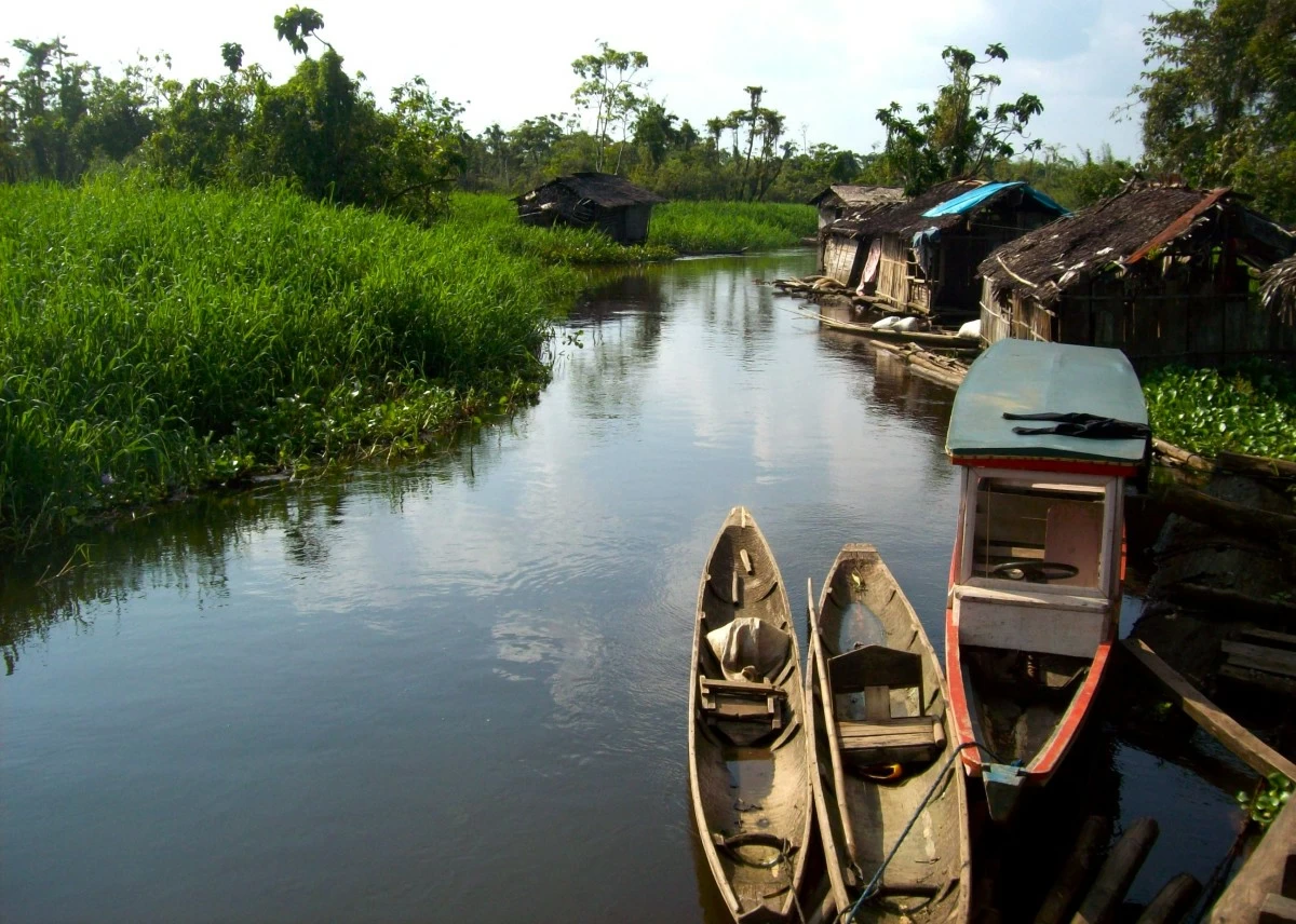 The Agusan Marsh acts like a sponge, absorbing excess water in the Agusan River basin. 
