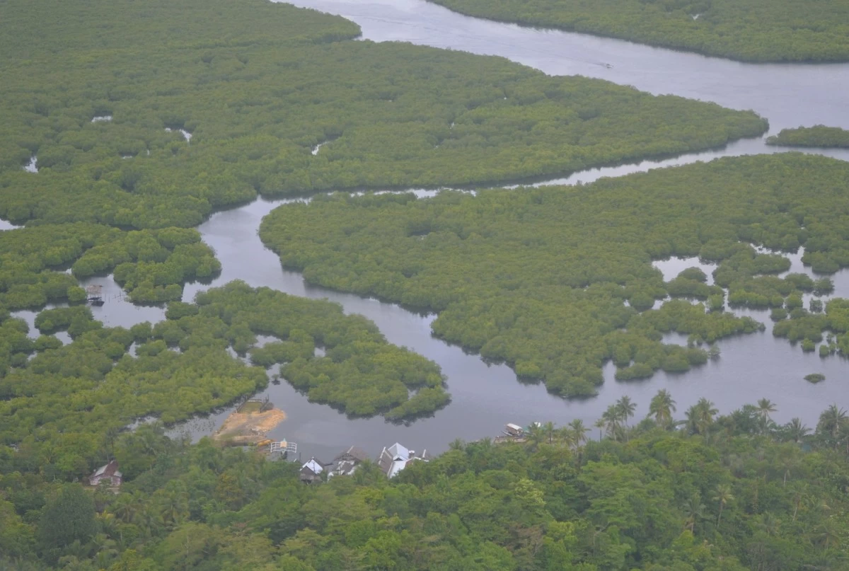 The Del Carmen Mangrove Reserve is home to the country's largest contiguous mangrove forest. 