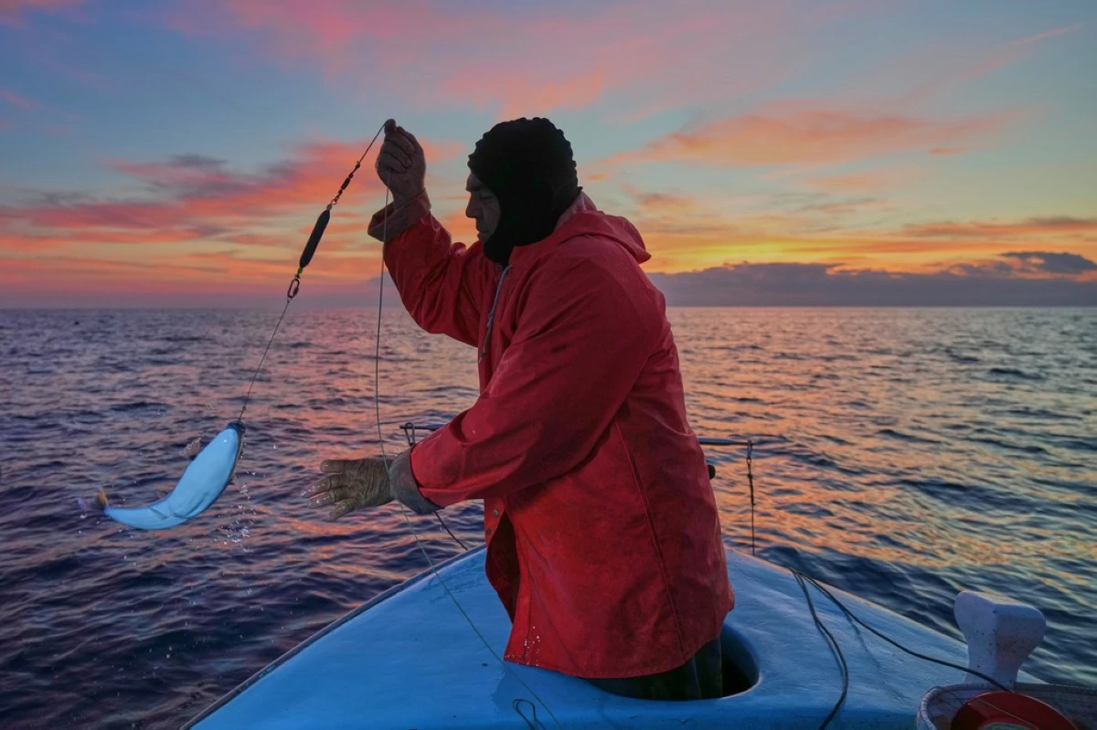 Fisherman Photis Gaitanos catches a toadfish while fishing from his boat off the coast of Larnaca, Cyprus, in the eastern Mediterranean, early Saturday, Dec. 20, 2025. (AP Photo/Petros Karadjias)