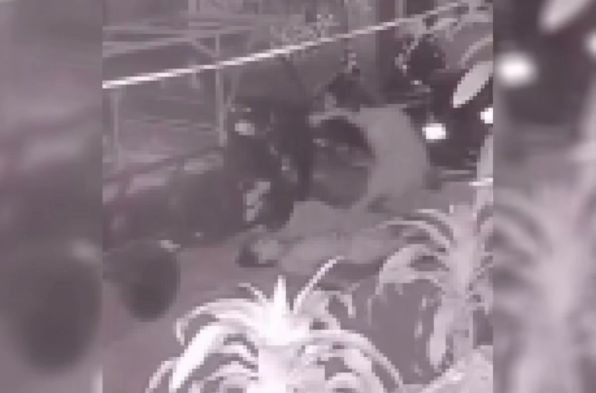 CCTV footage shows the 22-year-old suspect kicking her live-in partner after he collapsed on the road from a fatal stabbing in Barangay Gulod, Novaliches, Quezon City. (Photo courtesy of QCPD Station 4)