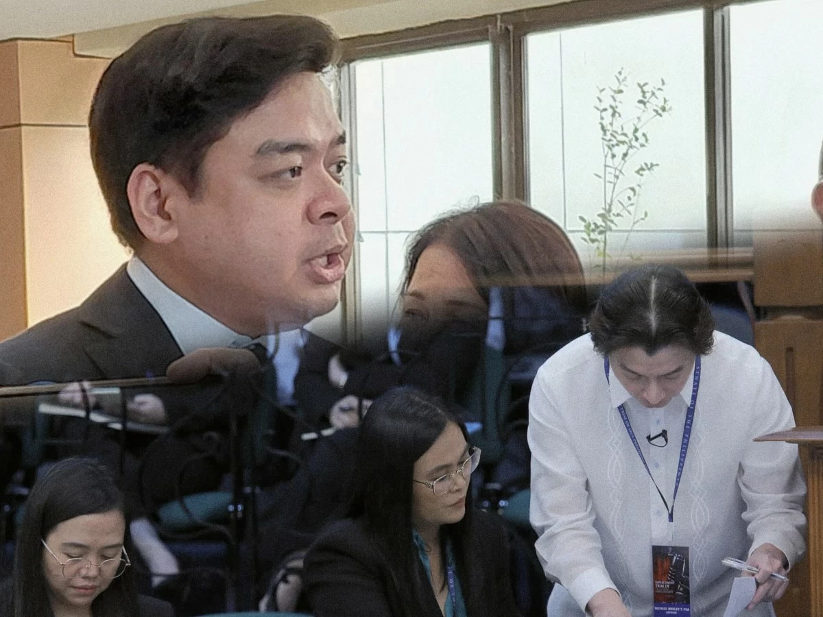 Bicol Saro Party-list Rep. Terry Ridon (left), Vice President Sara Duterte's defense team (MANILA BULLETIN, Facebook)