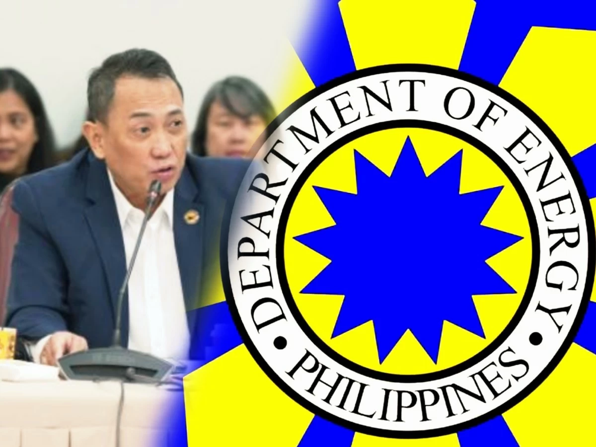 DOE should deep-six 'build-anywhere' practice of power plants; De Jesus explains why