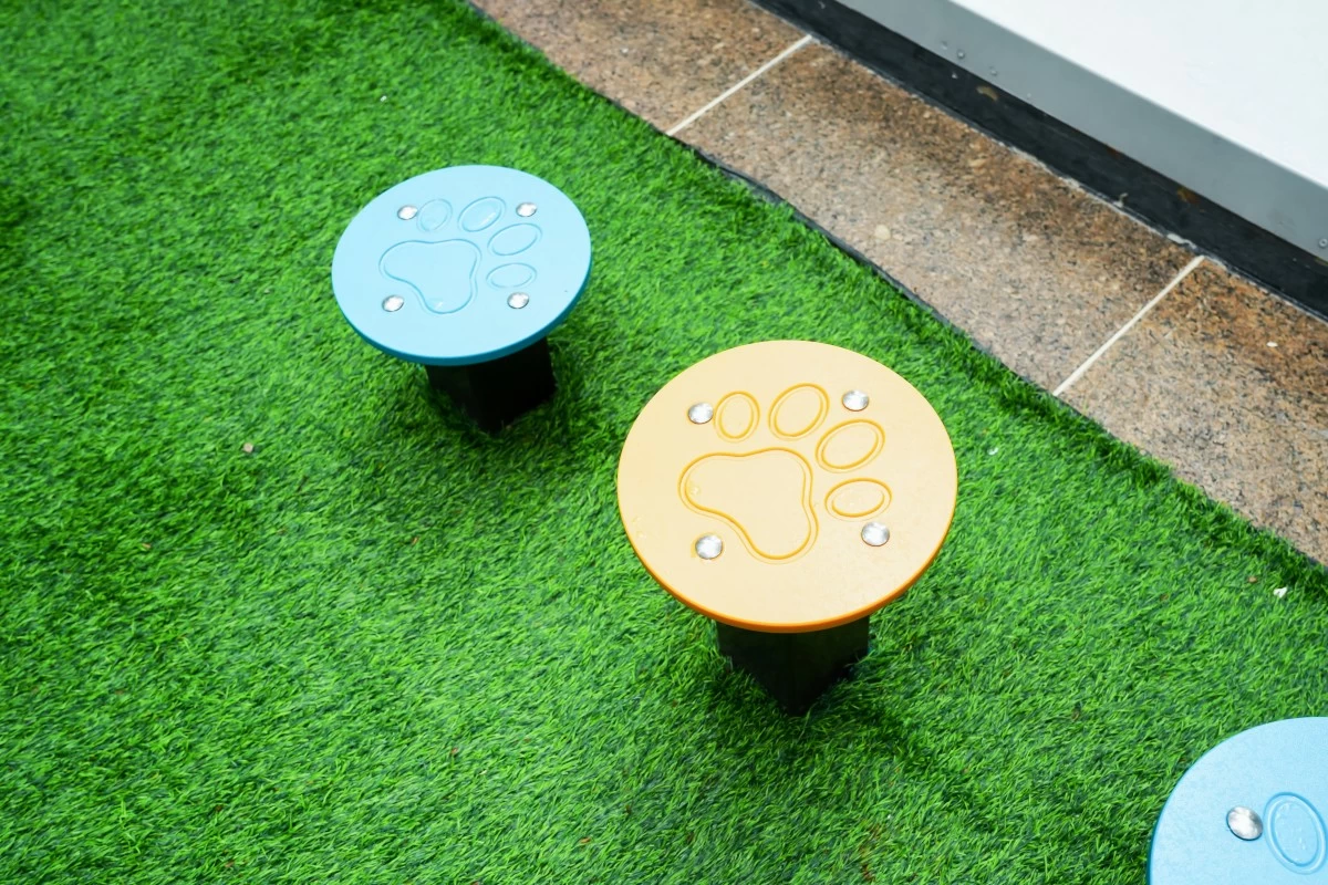 Dog training yard (Photo: Ayala Land)