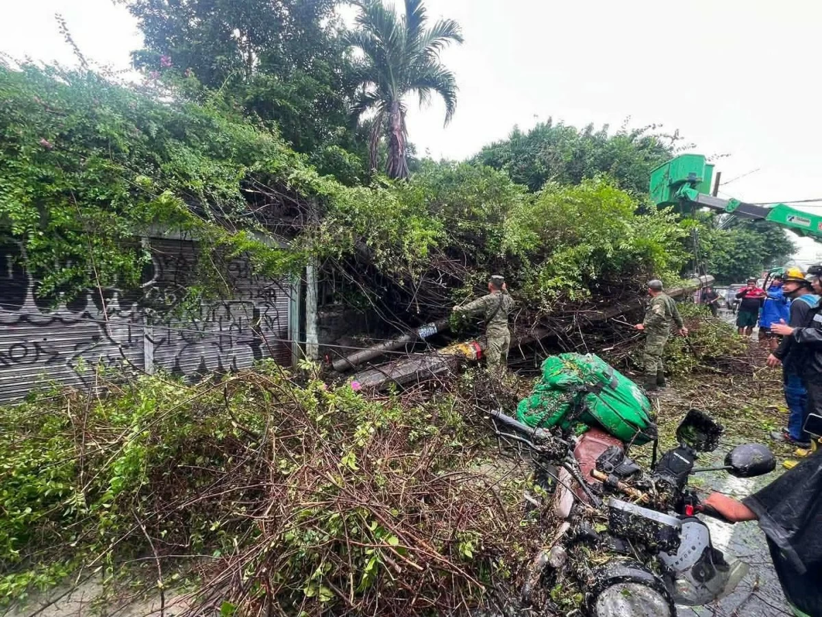 A delivery rider taking shelter along Circumferential Road in Barangay San Roque, Antipolo, was rushed to RPHS Antipolo Annex 2 for medical attention after being struck by a falling tree and post on Sunday, Aug. 9. (Photos from Mayor Jun Ynares/Facebook)