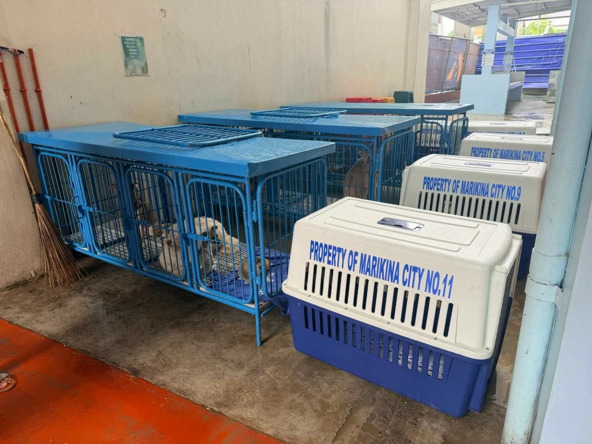 The Marikina City government also provides a designated space for evacuees’ pets at the Malanday Elementary School evacuation center to ensure their safety. (Photos from Marikina LGU)