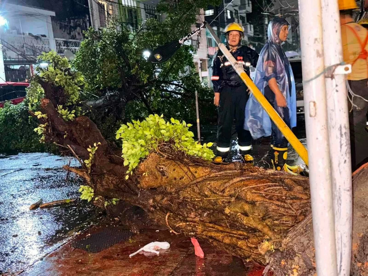 Responders clear a fallen tree along Don Quijote Street on Sunday night, August 9, after it struck a motorcycle rider amid strong winds and heavy rains. (Photo by Diann Calucin/MANILA BULLETIN)