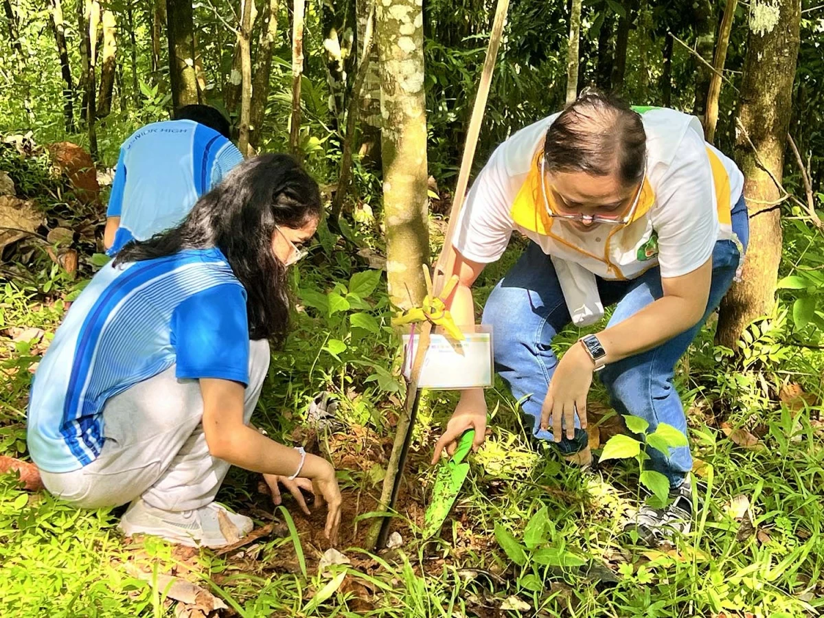 Volunteers planted narra seedlings to support local forest restoration.