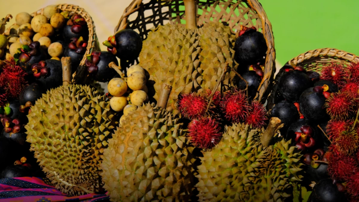 Feast on Durian, mangosteen and other fruits at Durian Festival in SM Lanang.