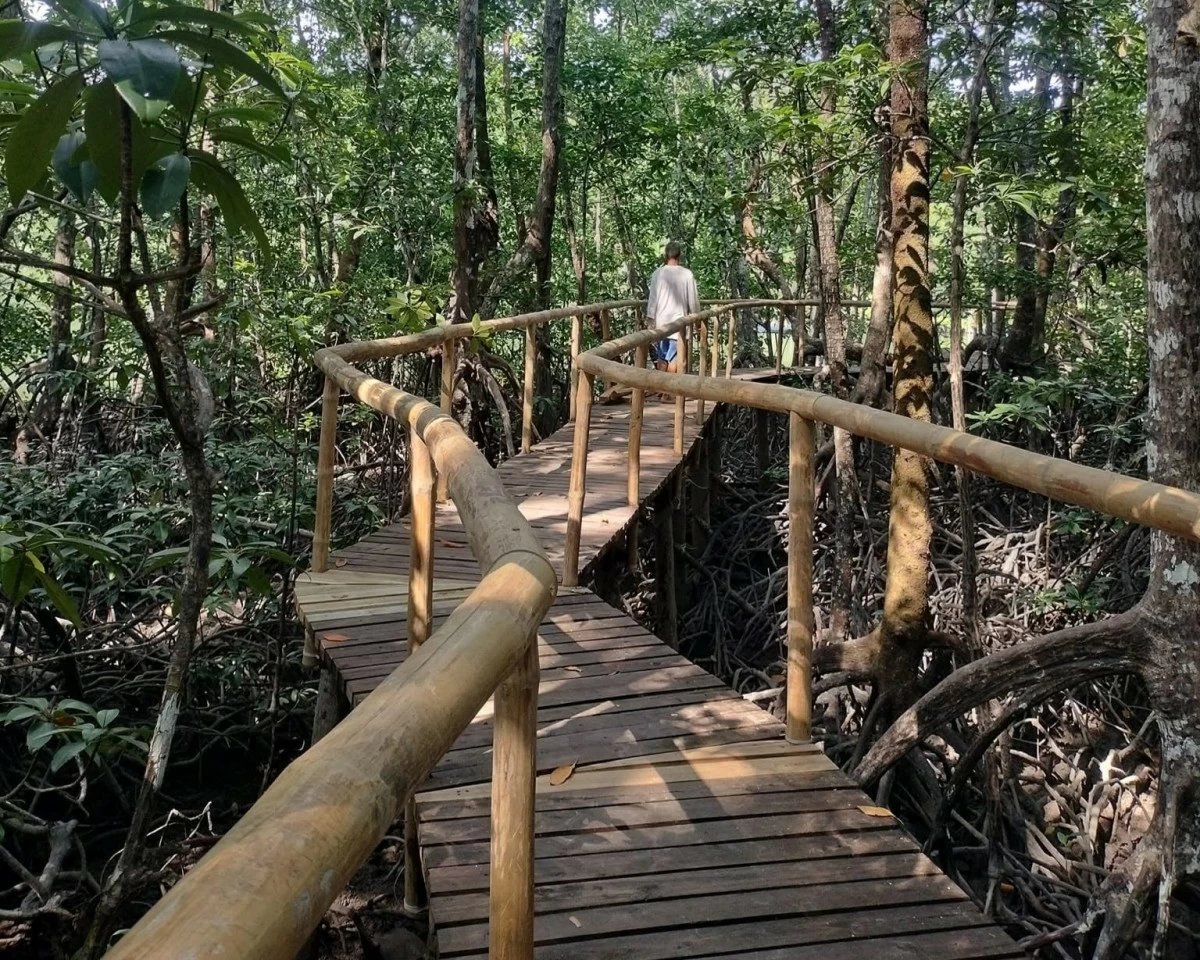 Dewil Eco-Mangrove boardwalk (Photo: Dewil Eco-Mangrove Association)
