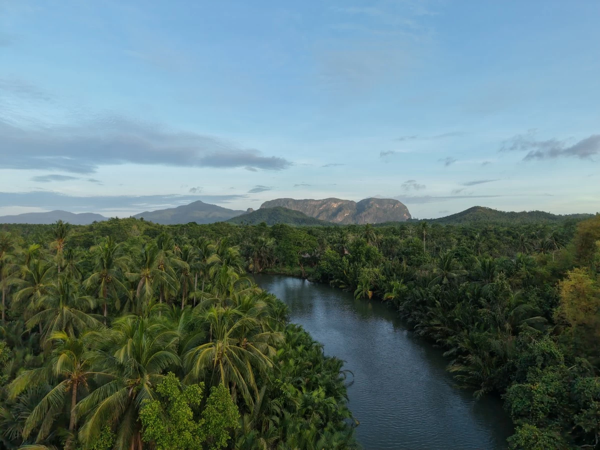 Dewil Eco-Mangrove (Photo: Bearcat Travel)