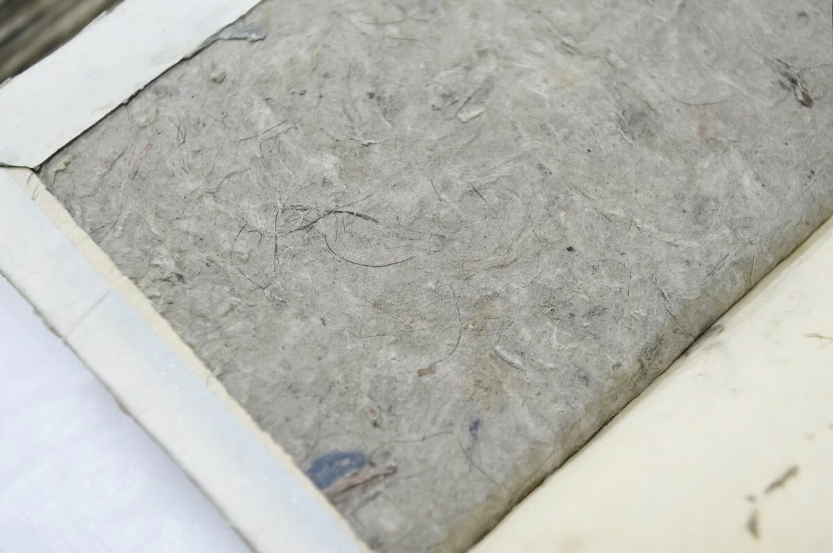 Recycled paper containing hair (Courtesy of Ryukoku University professor Atsushi Maruyama)