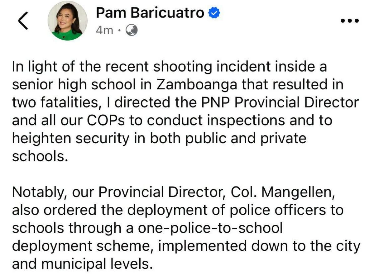 Cebu Governor Pamela Baricuatro takes to Facebook to relay her order of enforcing stricter security measures in schools.