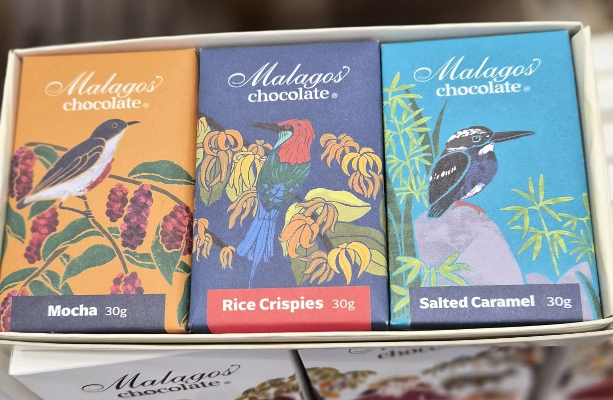 From artisanal chocolates and local delicacies to bottled specialties and innovative food products, women-led MSMEs showcase the creativity and diversity of Filipino entrepreneurship at the Women Strong Network Hybrid Trade Fair—giving shoppers more homegrown brands to discover, taste, and support.
