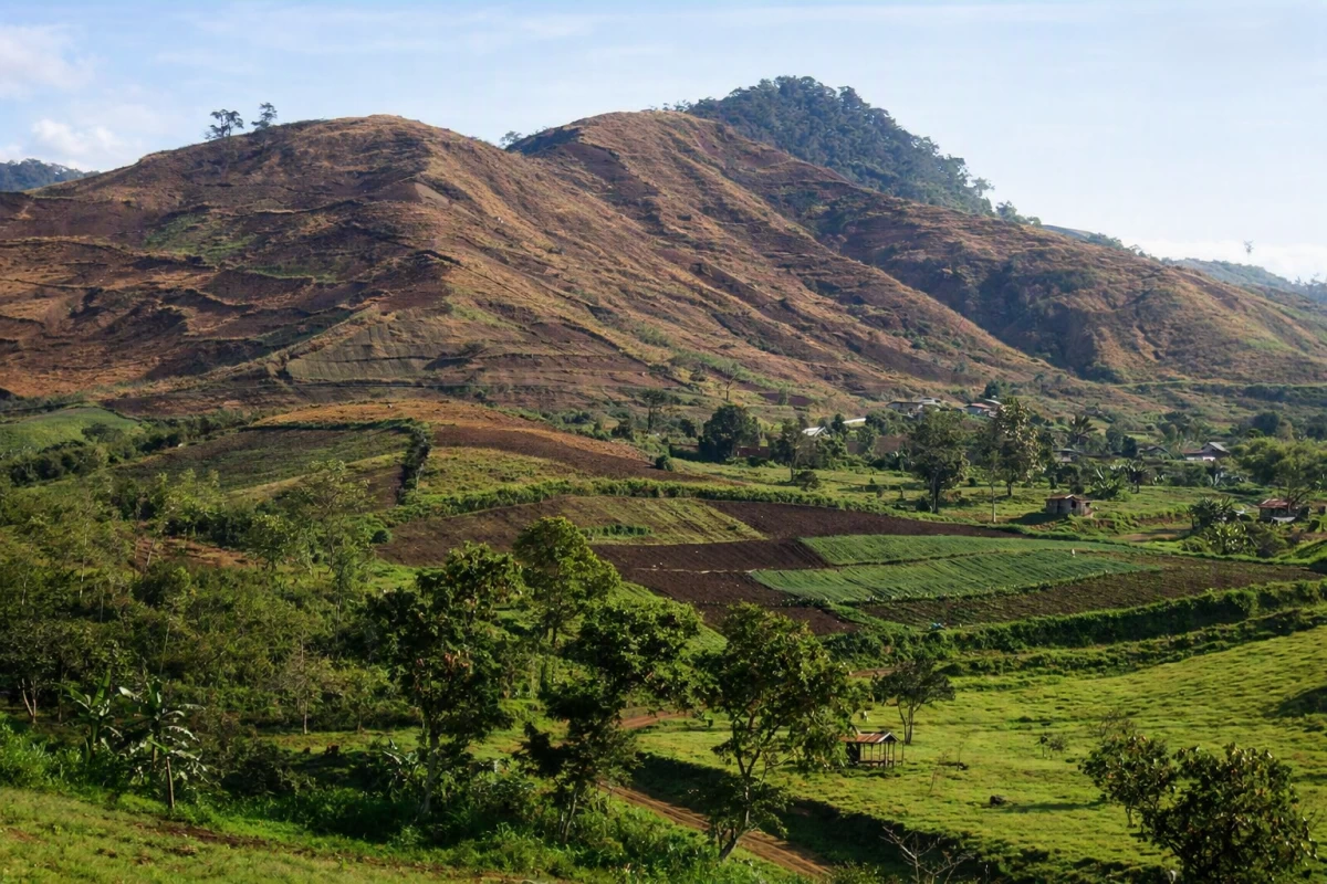 Denuded mountain (Photo by Henrylito Tacio)