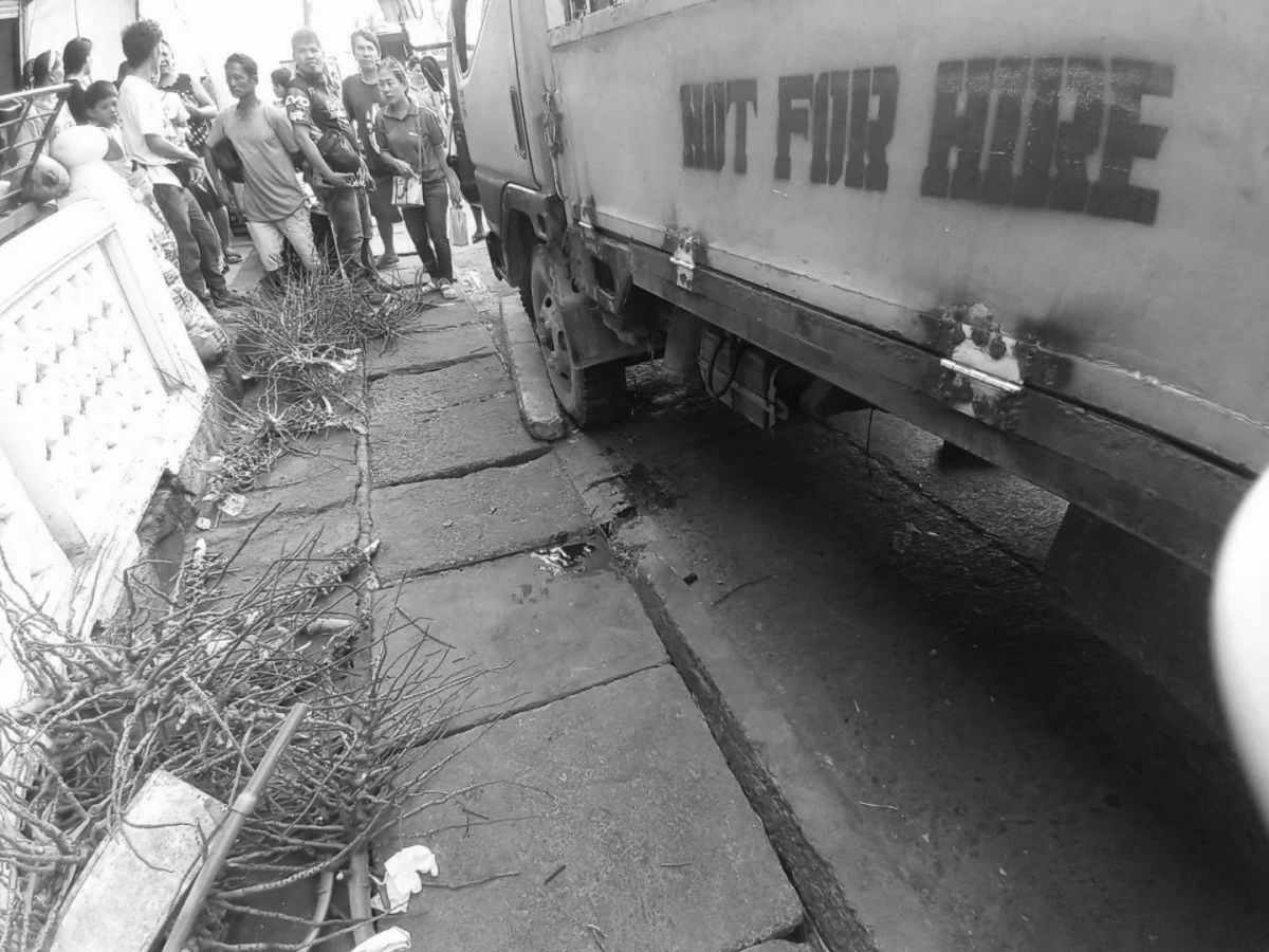 The truck that struck a boy and his grandmother in Balamban, Cebu. (Contributed photo)

 