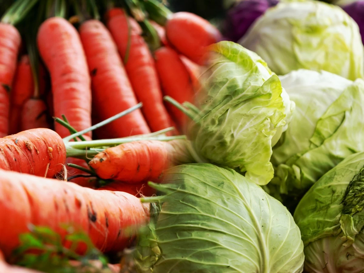 Carrots and cabbages (Unsplash)
