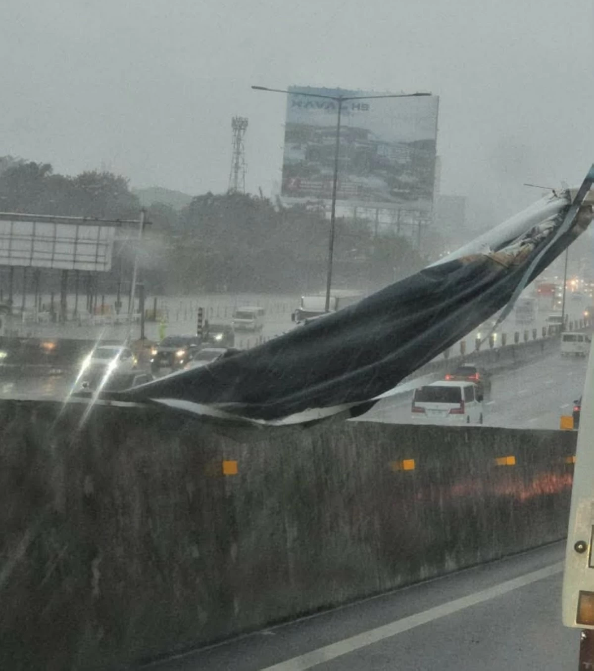 A billboard along South Luzon Expressway in Muntinlupa (Photo from Dion Real Rosana on Facebook) 