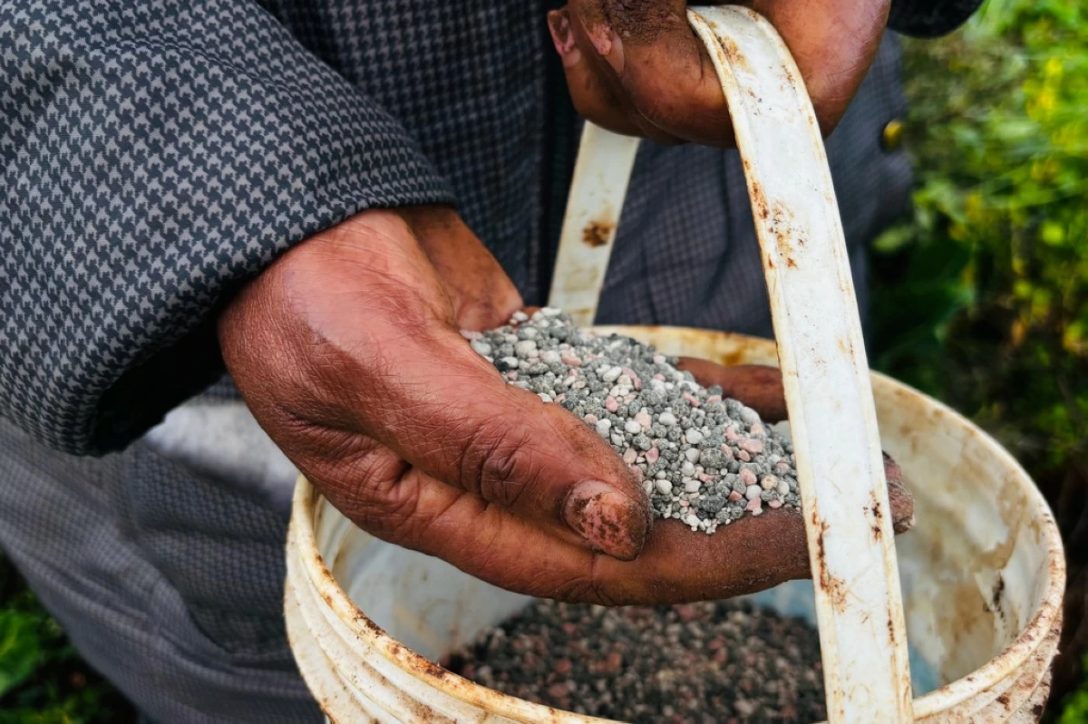 Global lenders unite to strengthen fertilizer supply chains, shield food security
