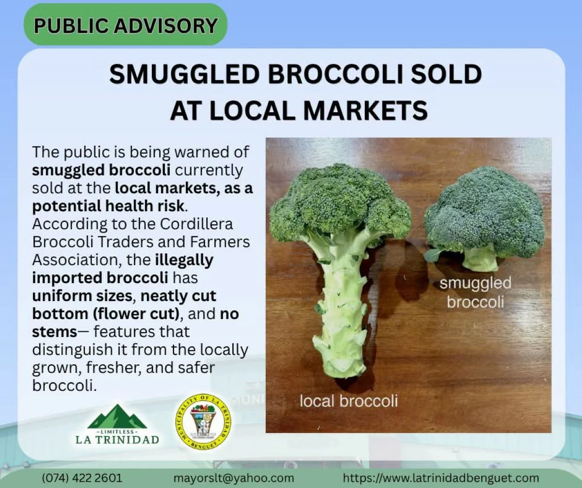 Benguet vegetables traders warn public of illegally imported broccoli that ...