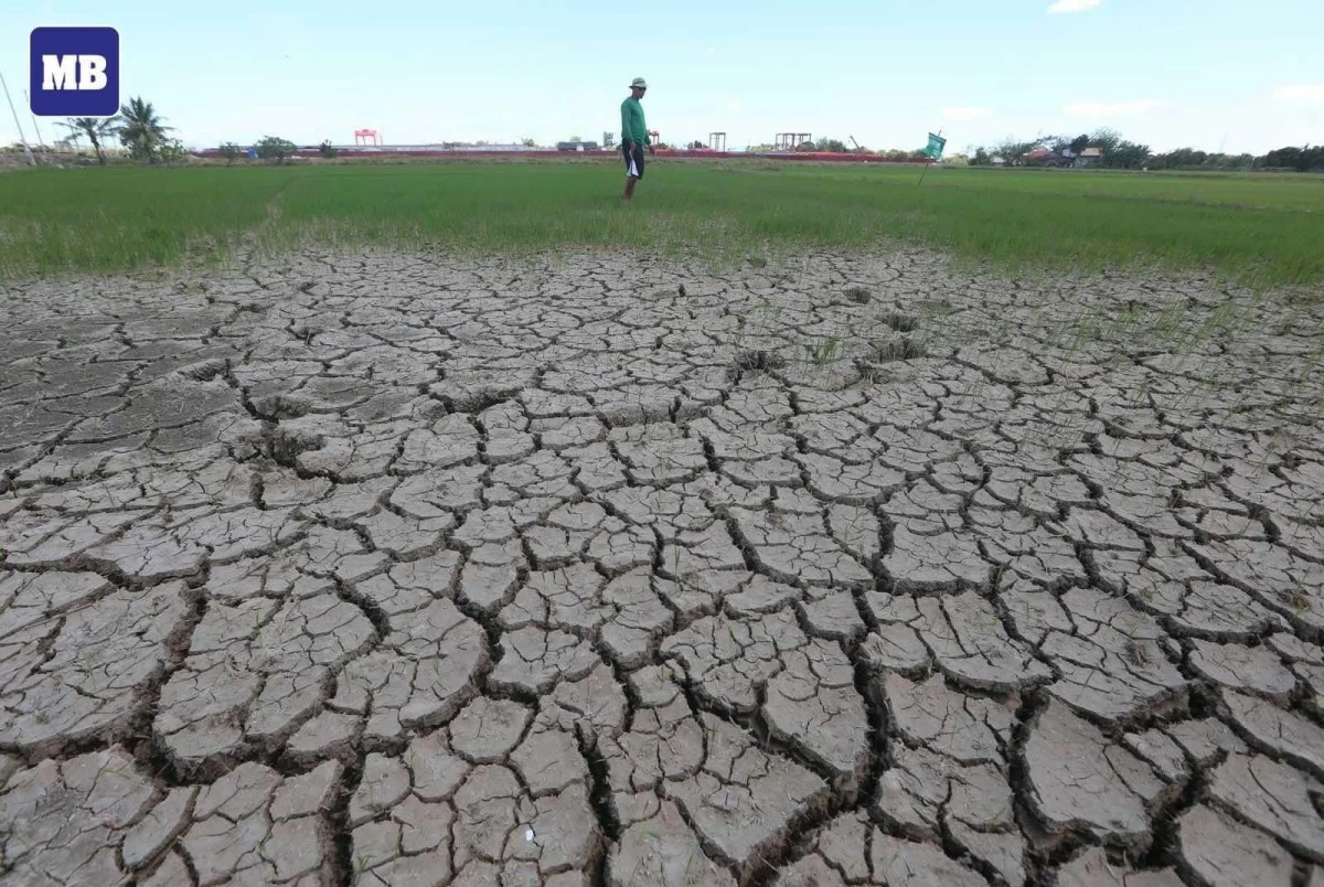 Samfélög undirbúa sig fyrir El Niño: Hertar aðgerðir gegn þurrkum