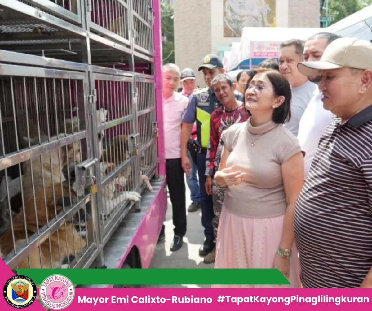 Pasay clears cemetery of stray animals, illegal structures for safer Undas
