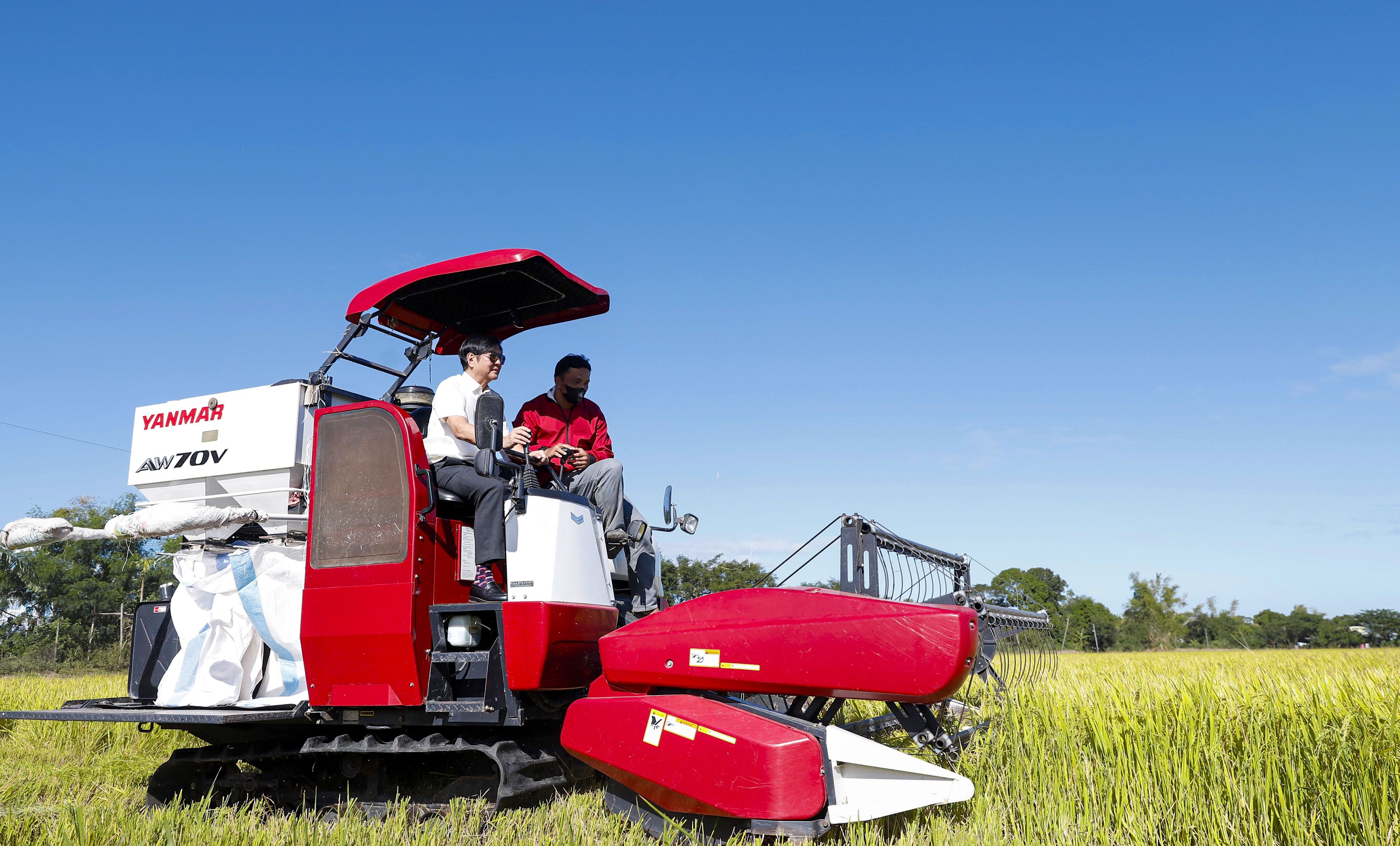 020324-CEREMONIAL PALAY HARVESTING3.jpeg