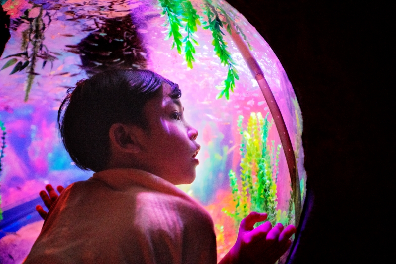 09- LEGO_8548-V1- rainforest globe.jpg