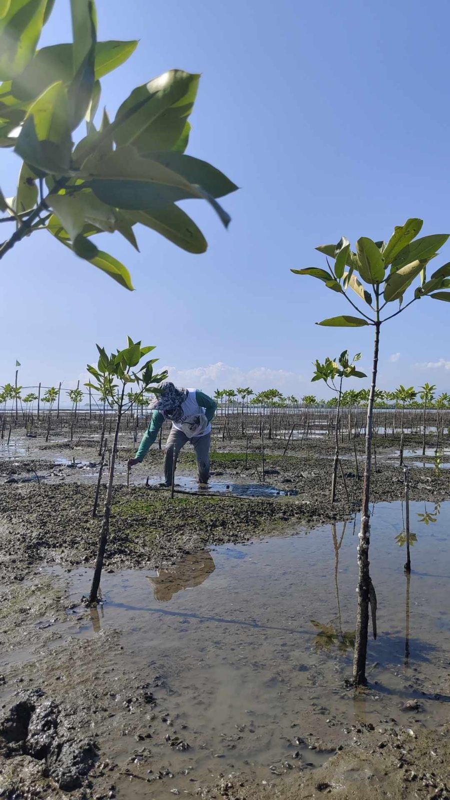 0-02-06-5a2339d5754bfdde6c94500c3c615e3d21f60554e563d3af11a29fa538e079dc_56f79b6103ee012c (1).jpeg