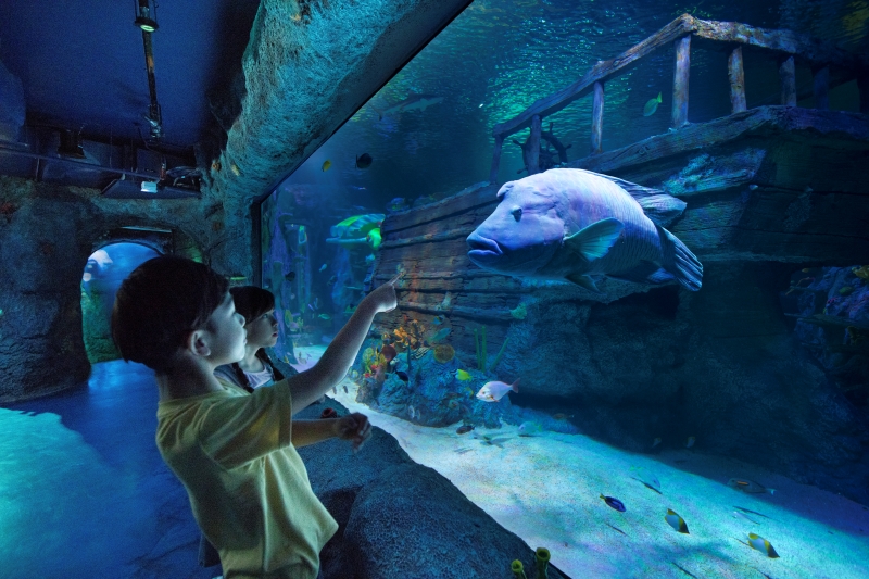 19- LEGO_3223-V1- ocean view.jpg