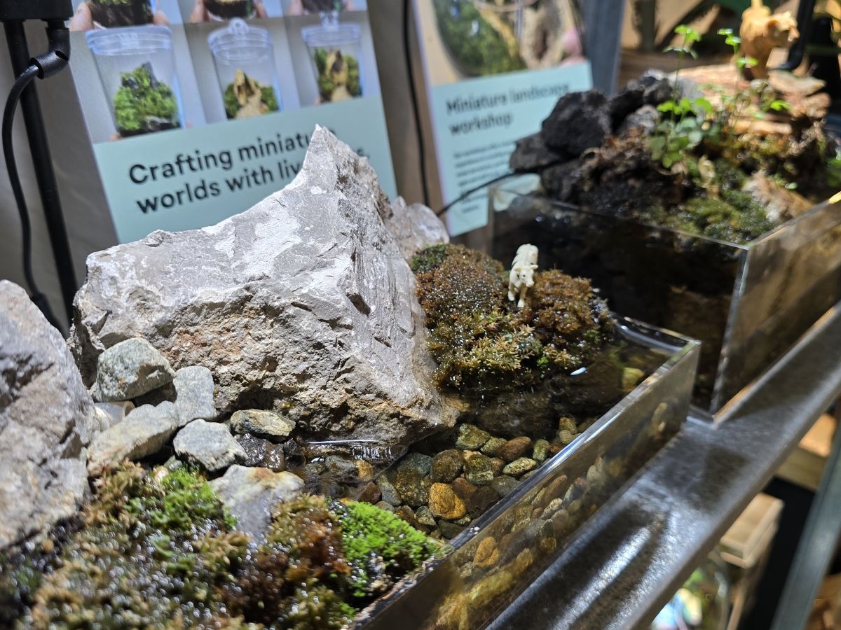 20240708_141712 (MB Drive ONLINE MAIN).jpg