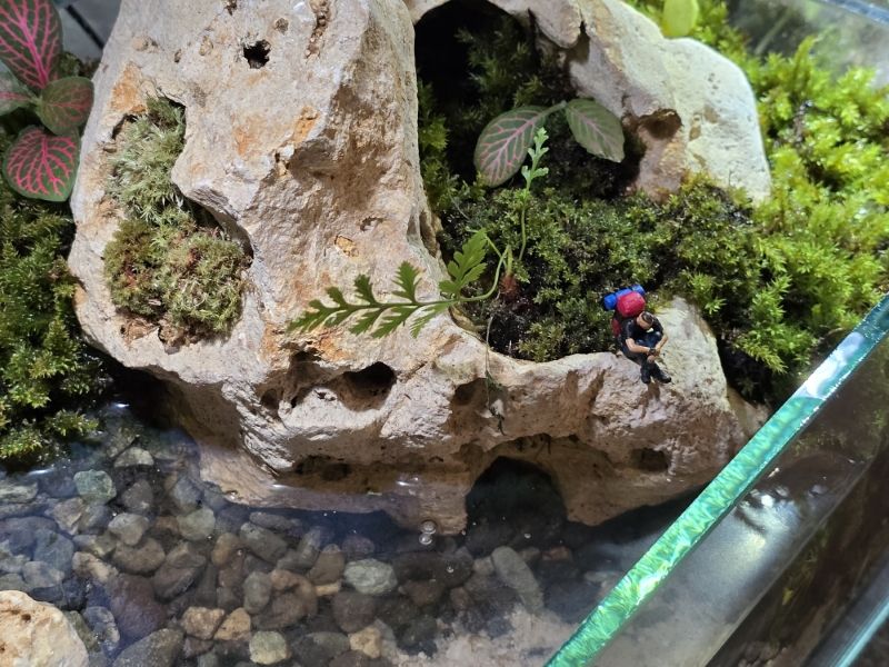 20240708_141736 (MB Drive ONLINE INNER).jpg