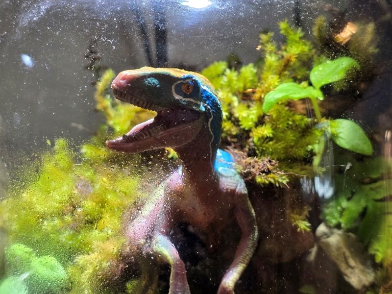 20240708_141753 (MB Drive ONLINE INNER).jpg