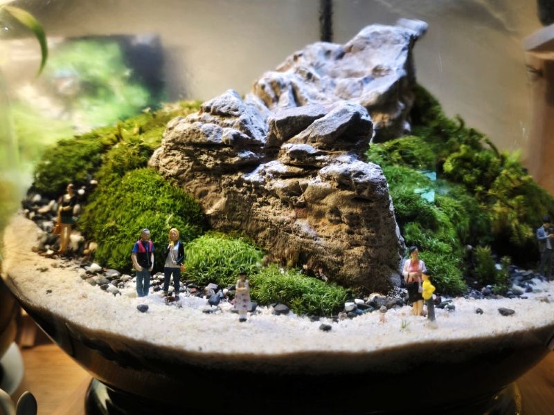 20240708_142135 (MB Drive ONLINE INNER).jpg