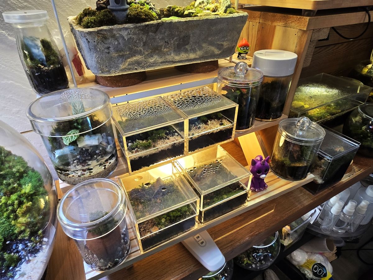 20240708_142149 (MB Drive ONLINE MAIN).jpg