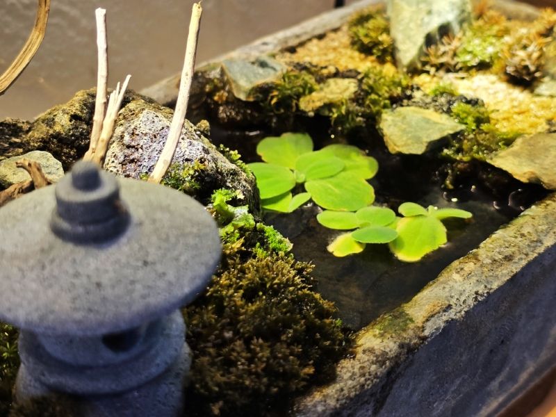 20240708_142156 (MB Drive ONLINE INNER).jpg