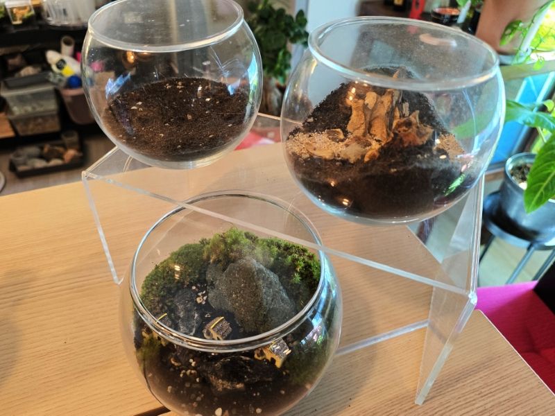 20240708_143009 (MB Drive ONLINE INNER).jpg