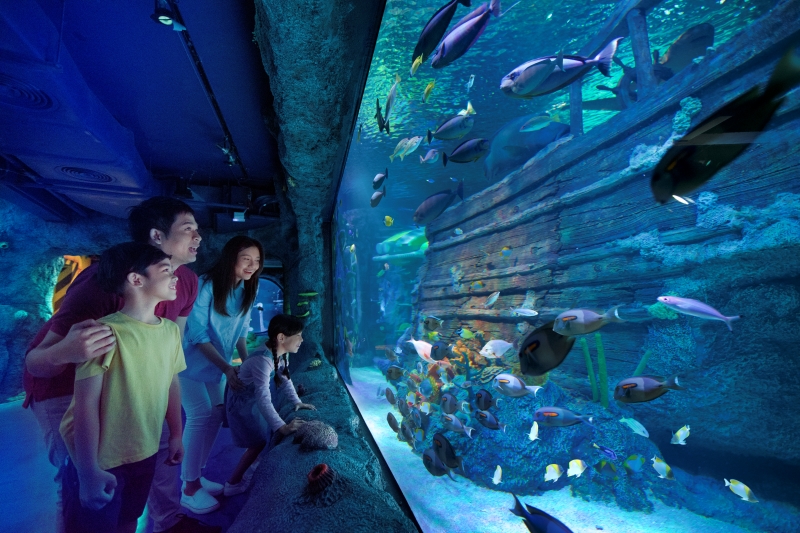 20 - LEGO_3393-V1- ocean view.jpg