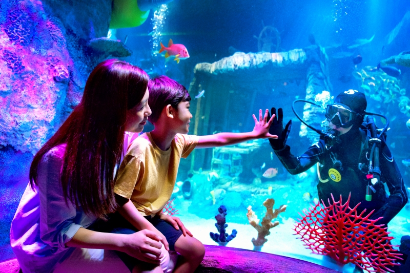 26 - LEGO_8090-V2- shipwreck dining diver 2.jpg