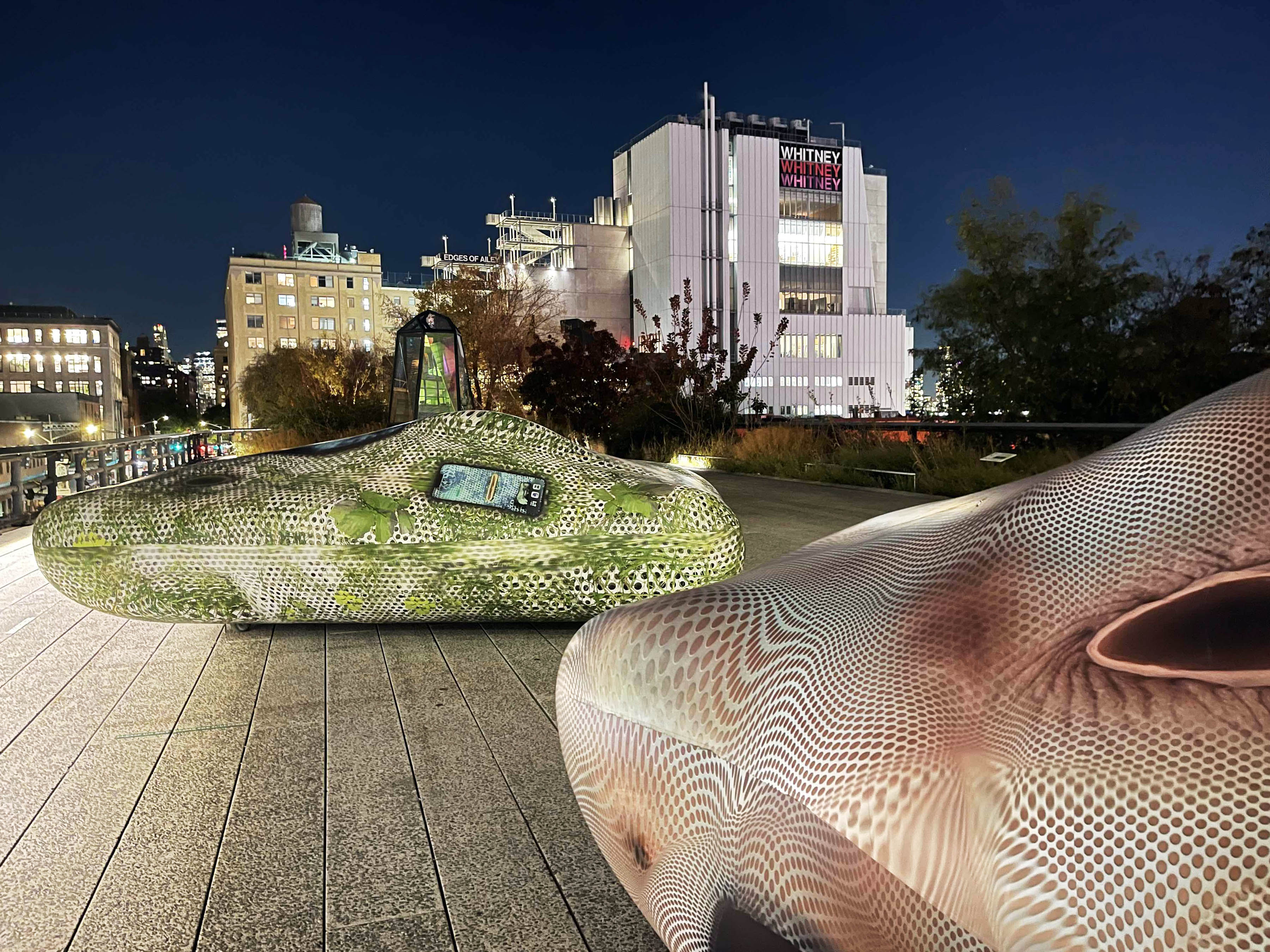 4 LIVING THE HIGH LIFE Once an elevated railroad, the High Line is now a liner park and greenway with art pieces installed along it.jpg