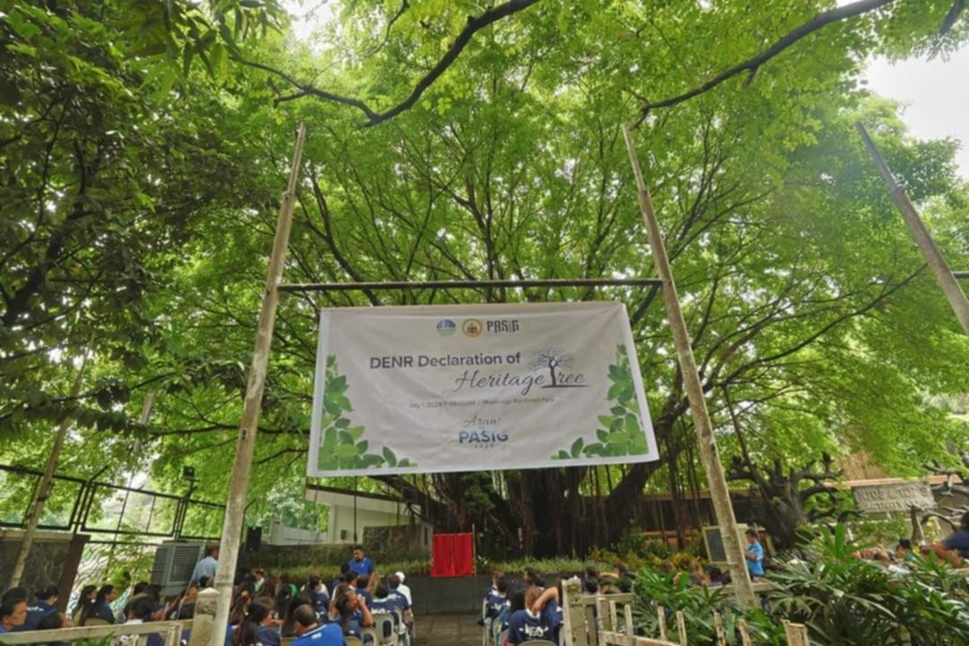 6c88f7c2-be78-4fb7-84b9-dc63c3a27de2.jfif