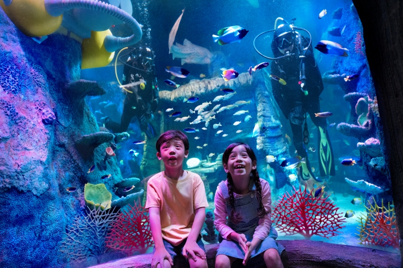 7885-kids view diver behind.jpg