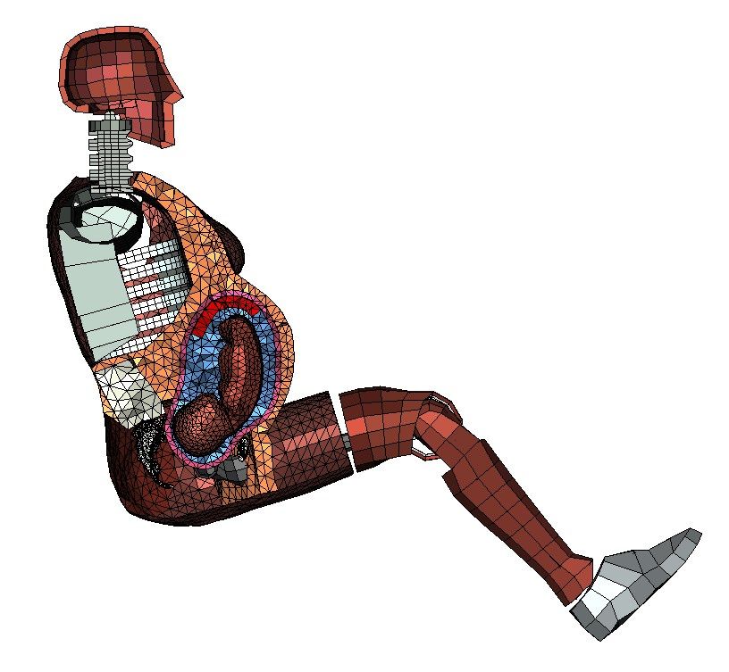 8528_Volvo simulation crash test dummy Linda.jpg