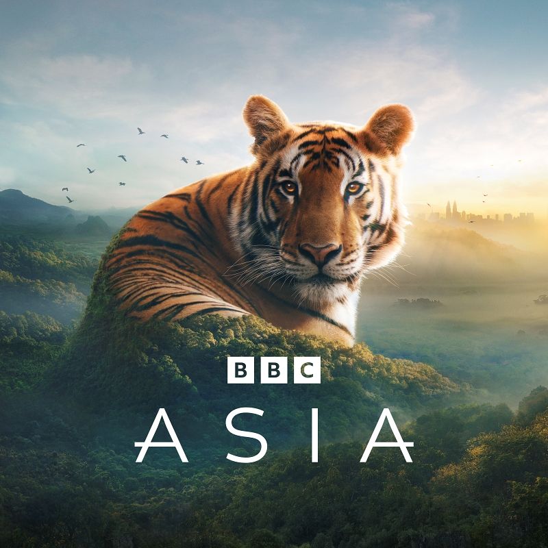Asia Key Art_Square_420x420mm_300dpi_RGB - Under Embargo until 12 midday BST Thursday 10 October.jpg