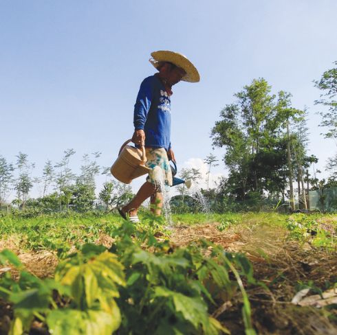 BEAUTY QUEEN WITH A PURPOSE copy.jpg