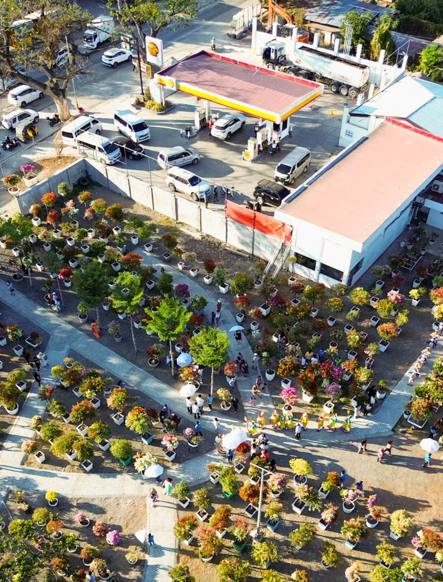 BOUGAINVILLEA AERIAL.jpg