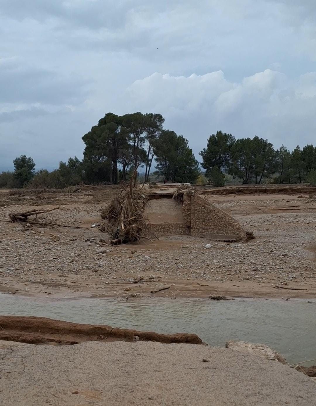 Broken bridge in del Rio Magro, Turis, Spain. The author passes by this bridge on her daily travels to town. (1).JPG