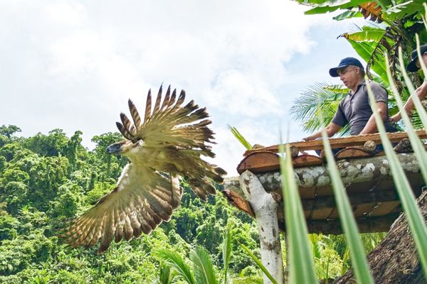 CARLITO RELEASE.jpeg