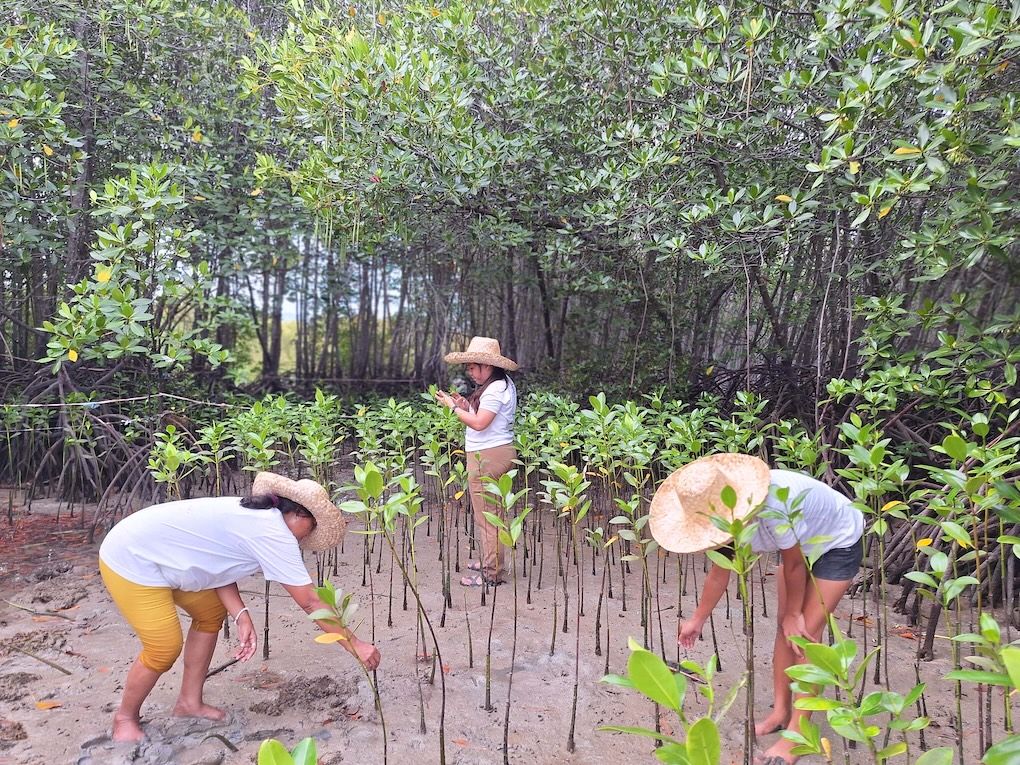 CLI GROW program 1-min.jpg