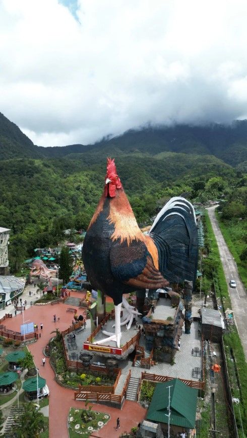 Campuestohan's rooster hotel.jpg